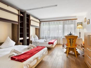 Apartment Residence A-1 by Interhome, Zermatt (photo 2)