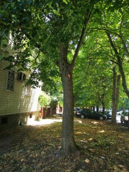 Apartment 59, Sofia (photo 5)