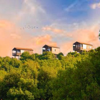 اكواخ سفاري السياحية, Ajloun (fotografie 2)