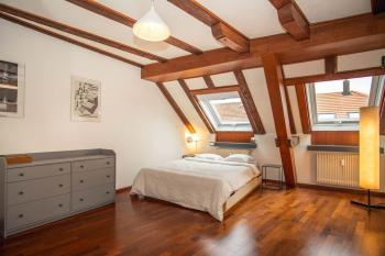 Penthouse in Basel Center with free BaselCard, Basel (Foto 2)