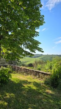 Amore in Chianti, Greve in Chianti (foto 5)