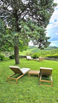 Amore in Chianti, Greve in Chianti (foto 3)