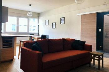 Fully equipped two bedroom apartment Schuman area, Brussels (photo 4)