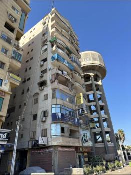 شقة فندقية بإطلالة مباشره على النيل, Mansoura (fotografie 5)