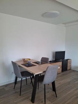 New Fabulous Attic - Modern and Stylish, Tirana (photo 3)