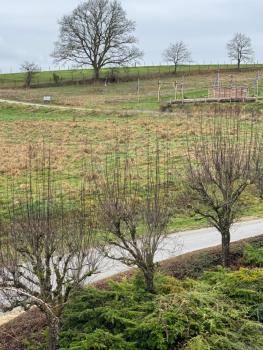 Achouffe - AVANT MIDI, Houffalize (photo 5)