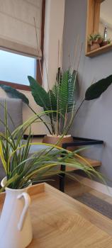 Leaf apartment, Blagoevgrad (foto 2)