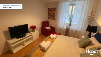Hilda: Tranquillo appartamento in centro, Curych (fotografie 5)