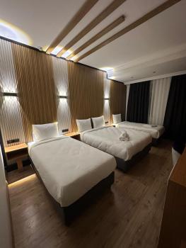 Rays Hotel - Bakirkoy Istanbul City Center, Istanbul (fotografie 2)