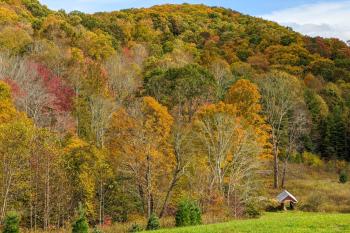 Hike, Ski and More Blue Ridge Mountain Escape, Todd (zdjęcie 2)