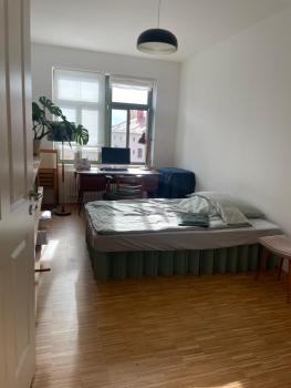 Großzügiges Apartment mit Balkon in Altlindenau, Leipzig (foto 3)