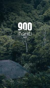 Skyfall 900kandi, Meppādi (foto 3)