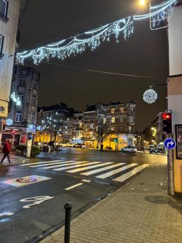 Le Joyau à Etterbeek, Bruxelles (photo 2)