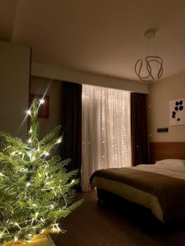 Apartment in Bakuriani, Bakuriani (fotografie 2)