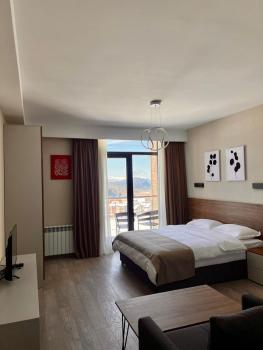 Apartment in Bakuriani, Bakuriani (fotografie 5)