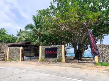 Dianao Beach Club and Resort, Dilasag (zdjęcie 2)