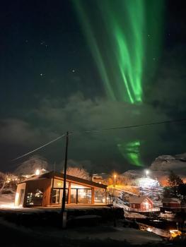 Lofotenvilla by the sea - Luksuriøs sjøvilla I naturskjønne omgivelser, Moskenes (fotografie 3)
