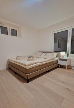 Queensize-Bett, Arbeitsplatz, gratis Parkplatz, St. Gallen (fotografie 3)