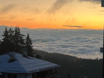Bambi, Pamporovo (foto 5)