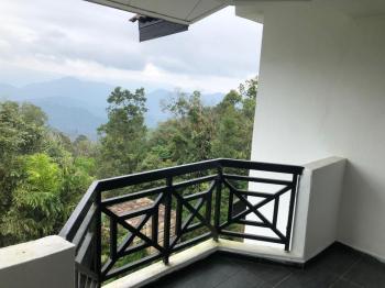 Misty at Fraser's Hill, Bukit Fraser (foto 3)