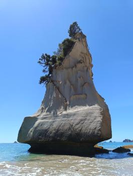 Brophys Beach Studio, Whitianga (foto 4)