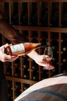 Barrique Studio with Sauna at Barrelled Wines Raglan, Raglan (photo 3)