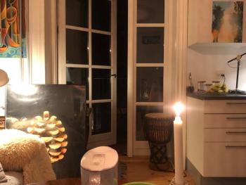 Soulful 3 Room apartment in Østerbro near nature, Copenhague (photo 4)