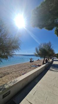 Bugenwilla, Kaštela (Castelli) (foto 2)