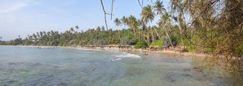 andantevil, Dikwella (Foto 5)