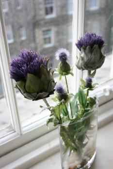 Royal Mile Budget Apartments, Edinburgh (Foto 3)