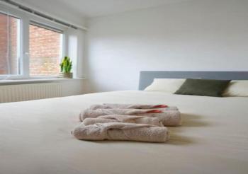 Top Location - City Center 1BR with Stylish Decor, Antwerpen (Foto 3)