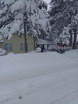 Cvet, Zlatibor (photo 5)