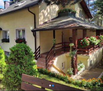 Cvet, Zlatibor (photo 2)