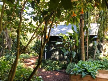 Tranquil Studio, New Plymouth (zdjęcie 5)