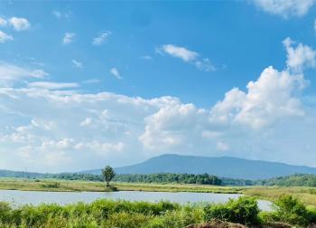 จุดกางเต้นท์สวนทอง, Wang Nam Khieo (photo 5)