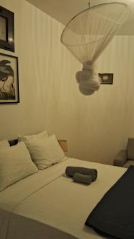 Pelican, Somone (fotografie 5)