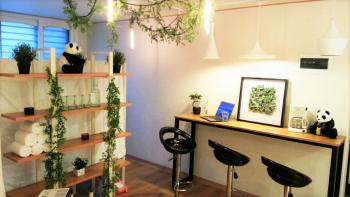 Serene stay, Seoul (photo 5)