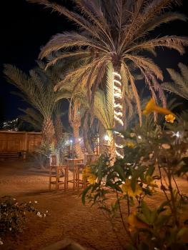 Fairouz, Dahab (fotografie 2)