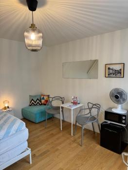 City Center Rooftop Balcony-Studio at town hall, Basilea (foto 4)