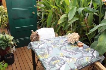 Kohimarama lodge, Auckland (foto 2)