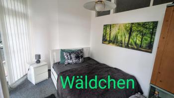 Wäldchen, Eilenburg (photo 5)