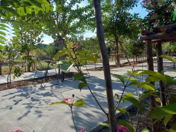 โรงแรม เดอะกรีนนิช รีสอร์ท, Surin (foto 4)