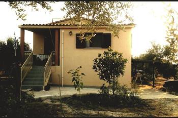 Ελαια, Marathópolis (foto 3)