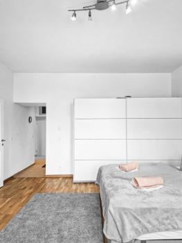 2rooms apartment, Vienna (photo 2)
