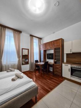 waldmuller apartment, Vienna (photo 3)