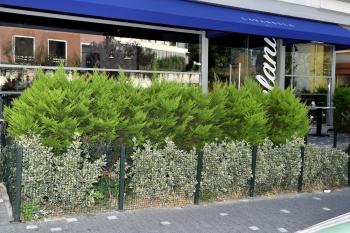 Levent Lavandula Hotel, Istanbul (photo 4)