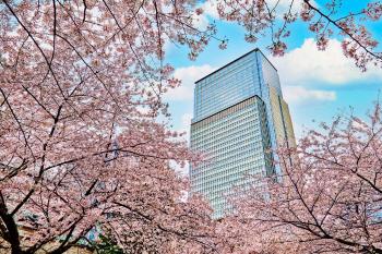 Mandarin Oriental, Tokyo, Tokio (fotografie 3)