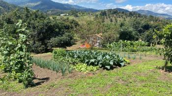 Valle Sereno, Hospedaje rural cerca del Salto del Buey, Abejorral (foto 5)