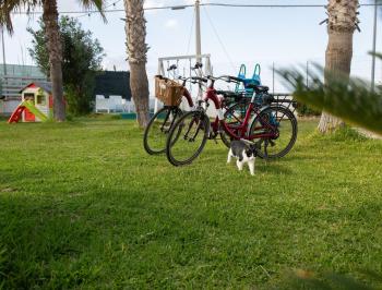 Case Playa, Balestrate (photo 2)