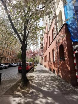 Berlin Suites & Residencies, Berlín (fotografie 4)